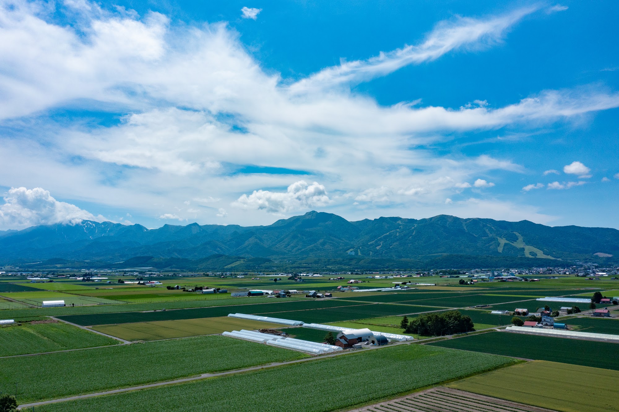 Furano lavender and nature